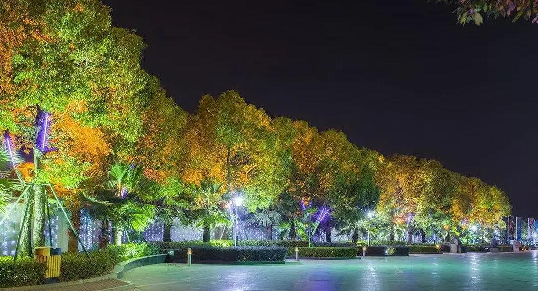 如何打造出色的園林亮化工程？